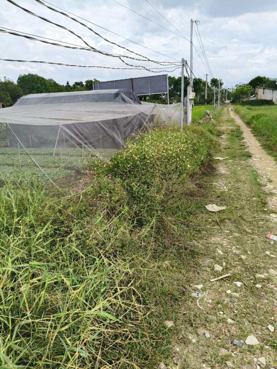 Rẻ! Đất 2.5tr/m² 0.6Ha – Xuân Thới Thượng 2 HM - Ảnh 2